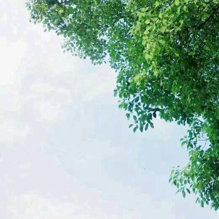 绫野刚（饰 外印） - 独播剧场VIP在线观看 - APP视频